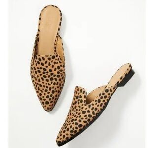 LOFT Animal Print Shoes